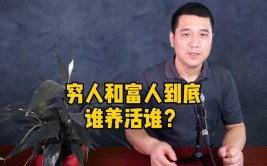 到底谁养活谁？(驾驶员老板养活挖机自己的)