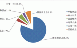 统计学就业方向有哪些