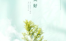 绿暖初冬植属于你