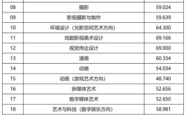 2024年分数最低的艺术本科大学