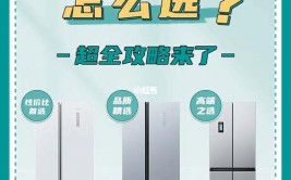 19年最全攻略带你奋战双十一(冰箱奋战最全带你这款)