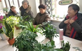 绿意生活 惬意乐园东林后花园植物养护知识分享会