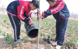 平乡县西位明德小学劳动教育之绿植养护行动