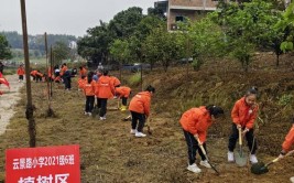 云植树春景随手拍今年的植树节活动来啦请查收