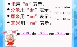 毫米用字母表示是什么