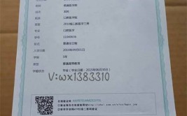 2024小学毕业文凭怎么自考本科学历