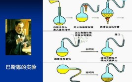 实验法与演示法的区别