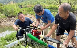 蔡甸多措保苗抗旱护绿植安全度夏