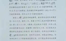 判刑10年以上，合理吗？(轻罪治理案件犯罪崇义)