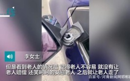 女车主：不用赔，老人不容易(老人李女士后视镜不用不慎)