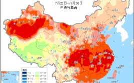 植物如何感知和应对高温一文揭露背后真相