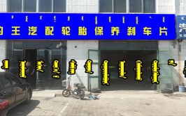 加盟豹王养车汽车养护中心有什么优势呢？(养车养护车主优势有什么)