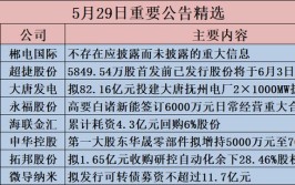 过往募投项目频频“跳票”，资金规划、执行力存疑(项目募集资金年产变更)