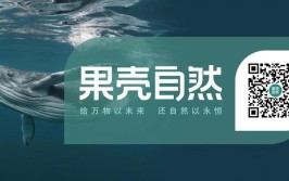 出于好奇问了师傅一句(一句一辆新能源问了打到)