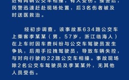 构成“以危险方法危害公共安全罪”！法院判了(司机方向盘辱骂抢夺殴打)