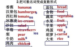 汉堡包是可数名词还是不可数名词