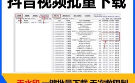 视频批量解析下载器(视频水印批量解析之家)