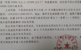 中升丰田汽车行政处罚决定书(当事人合同格式本局违法行为)