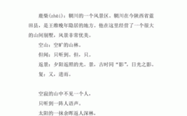 鹿柴表达了诗人怎样的思想感情