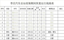 最新！枣庄汽车总站已恢复近80条运行线路(苍山齐鲁线路恢复运行)