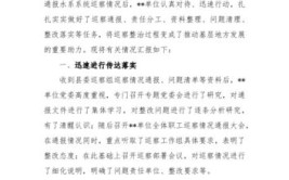 东山中共樟塘镇委员会关于县委巡察整改落实情况的通报(工作整改情况巡察整改干部)