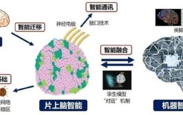 天大脑机接口再“进化”！成功研制全球首个→(接口智能天津大学首个超声)