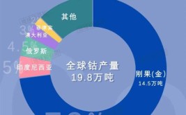 不满在电动汽车业的低端供应地位 全球钴产量“大户”刚果（金）宣布进军电池制造领域(电池红星全球制造低端)