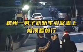 目击者：该男子被顶着行驶2公里(极目小车引擎盖男子新闻记者)