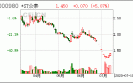 众泰汽车股份有限公司 关于为杭州益维汽车工业有限公司提供担保的公告(担保公司本公司董事会汽车)