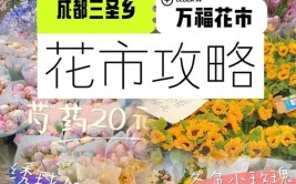 成都最小众的花市价格比三圣乡便宜一半家养植物几乎都有