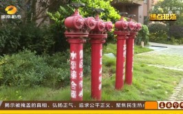 居民怀疑与这个“高科技”有关(停水小区水泵高科技居民)