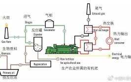 广宁县技术拔尖人才程树新：奋战在科研和生产一线(广宁生产沼气池研发化学)