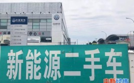 是换电池还是换车？(电池新能源换车车主首批)