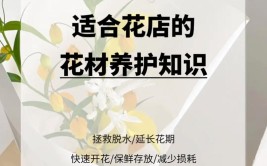 开花店那些事儿｜经营花店花店老板该掌握的常见花材护理方法