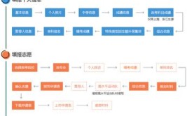 高考的强基计划是如何招生的