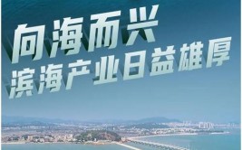 打造沿海经济带新增长极 山海之城茂名靠什么