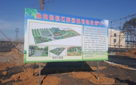 殷都区开展国土绿化行动 共建绿色生态家园