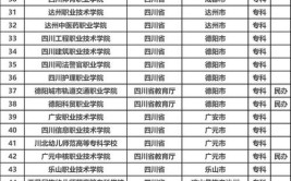 本科职教是什么意思四川有哪些大学有开展本科职教