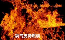 空气中支持燃烧的气体叫什么