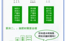 从三个方面告诉你如何施用底肥效果好。农资人