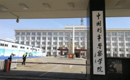 中国刑事警察学院有哪些学院？