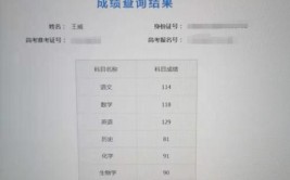 湖南新高考学考计入成绩吗