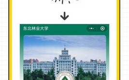 2024年东北林业大学在哪个城市