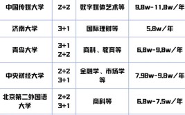 国际本科项目哪个学校好