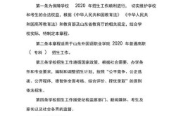 山东外国语职业技术大学2020年普通高等教育招生章程