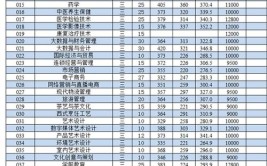 2024年福建公办大专学校分数线