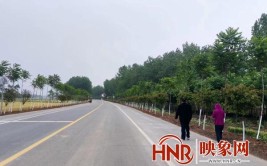 汝南县张楼镇：道路靓化增新颜 群众提升幸福感(绿化联播映象乡镇道路)