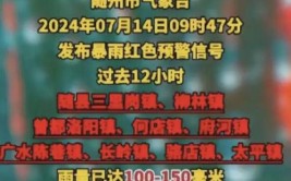 车到水中间就飘了起来(气象局村民局长冲走救援)