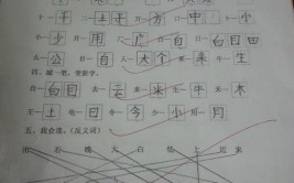 又字加一笔能写几个字