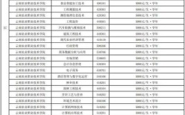 2024年云南单招新能源汽车检测与维修技术专业有哪些学校